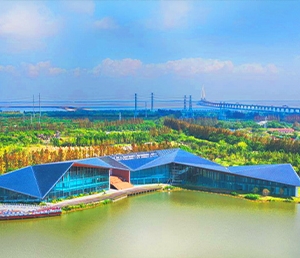 产业发展图标